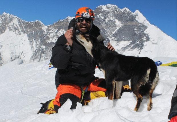 Pies w Himalajach